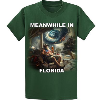 Picture of "Old Florida Vibes" – Surviving the Storm T-Shirt