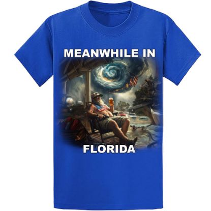 Picture of "Old Florida Vibes" – Surviving the Storm T-Shirt