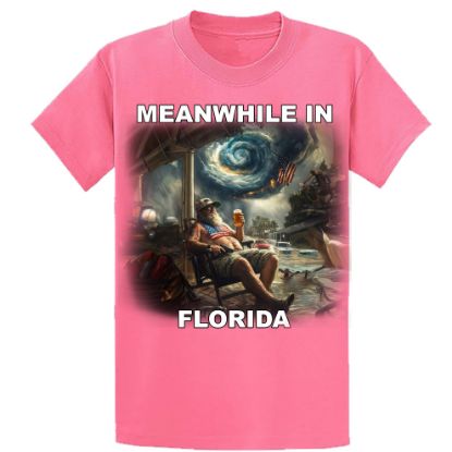 Picture of "Old Florida Vibes" – Surviving the Storm T-Shirt