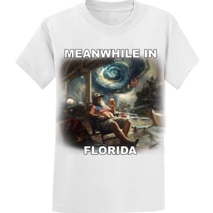 Picture of "Old Florida Vibes" – Surviving the Storm T-Shirt